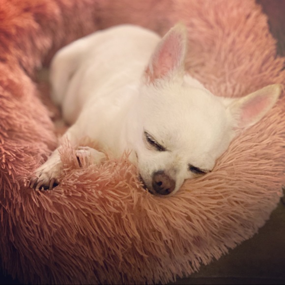 Meet your Posher, Kate - Picture 3 of 4